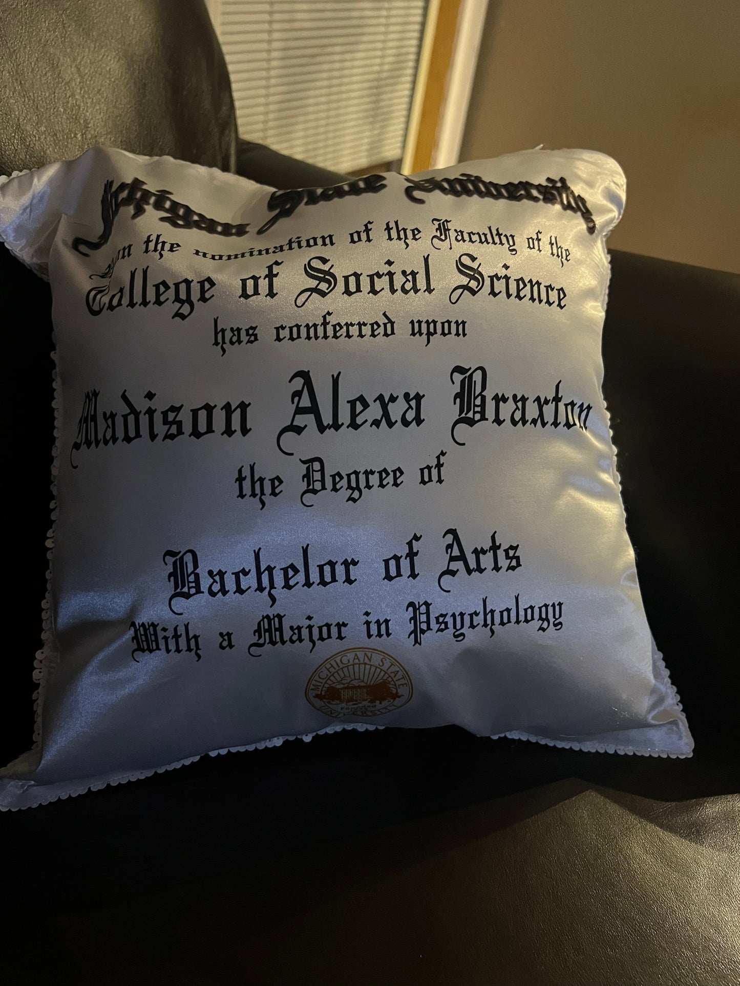 Custom Pillows